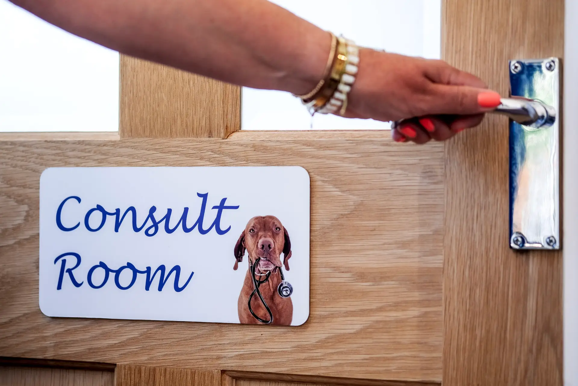 consult room heronden vets