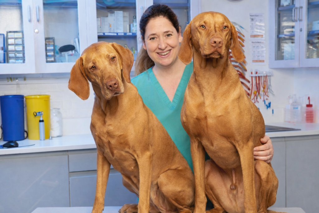 Hawkhurst Vets