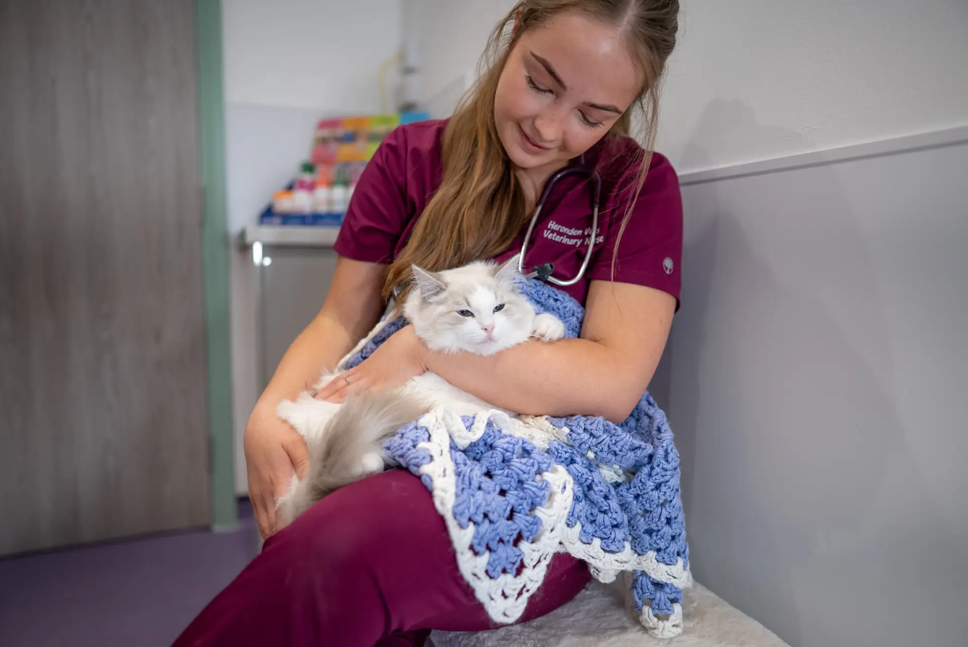 independent vets in the UK