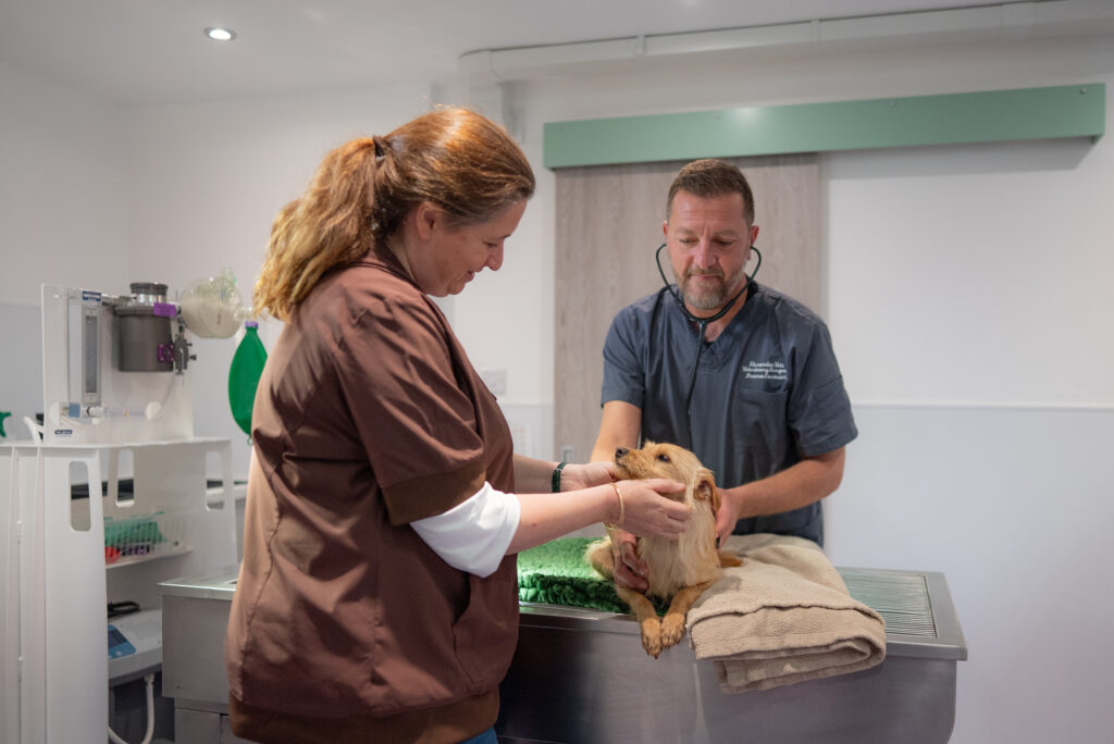 independent vets near me in the UK