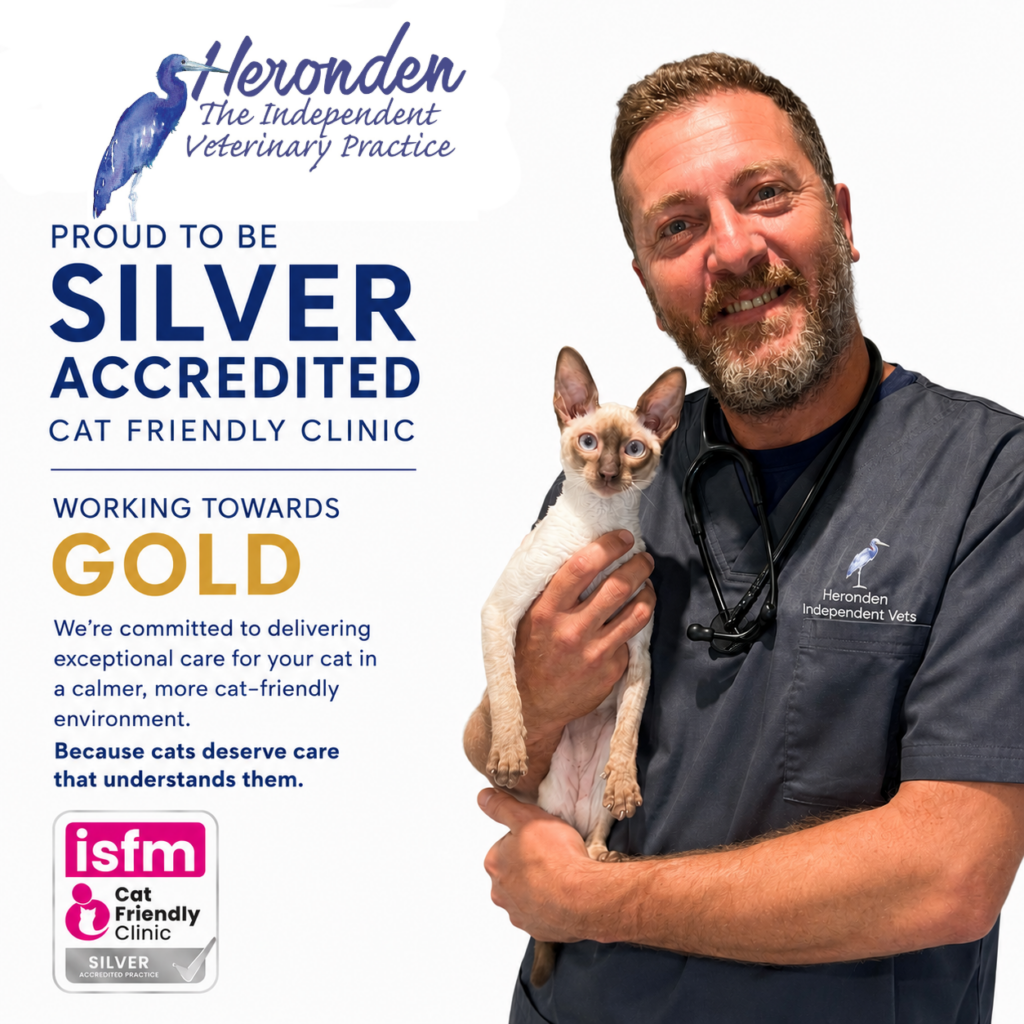 silver credited img