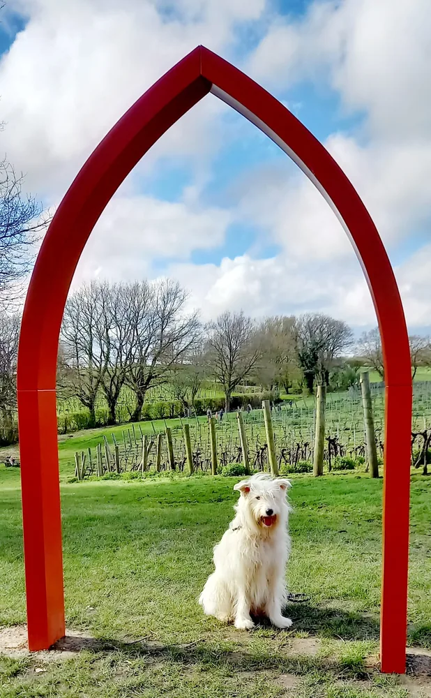 A white dog beneath a red pointed arch beside vines at Chapel Down.
